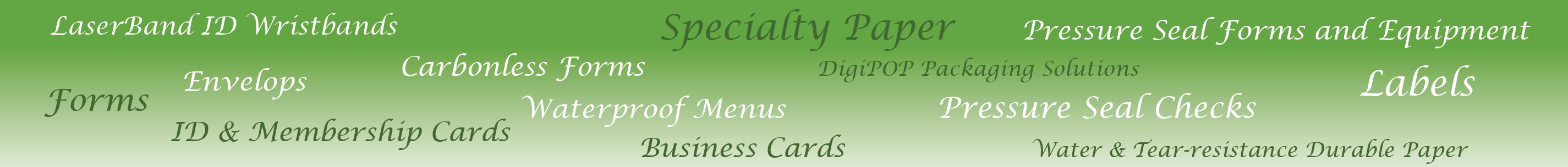 Web-Banner-v2.png